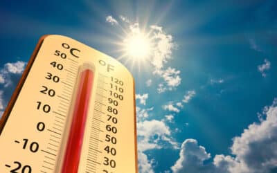 July 2024 Clinics / Extreme Heat / Cancellation and Payment Policy Reminders