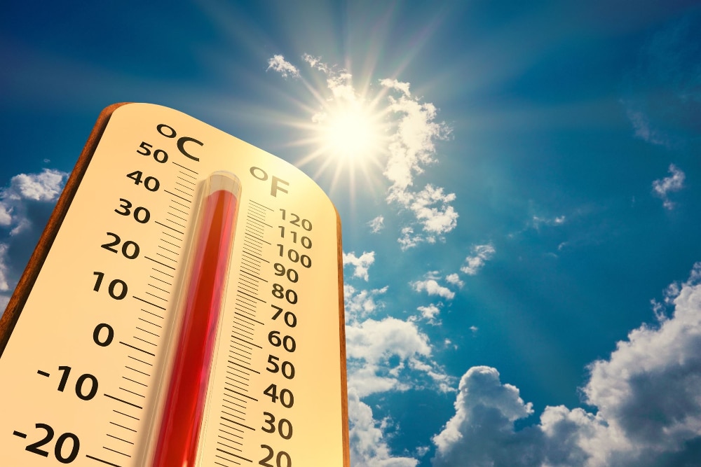 July 2024 Clinics / Extreme Heat / Cancellation and Payment Policy Reminders